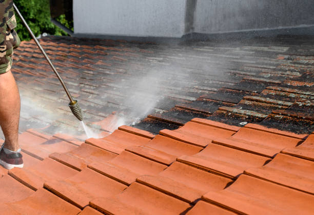 Best Power Washing Near Me  in Csar Chvez, TX