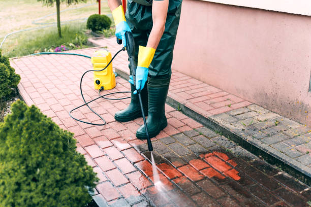 Best Commercial Building Pressure Washing  in Csar Chvez, TX