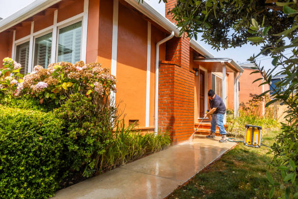 Best Power Washing Near Me  in Csar Chvez, TX