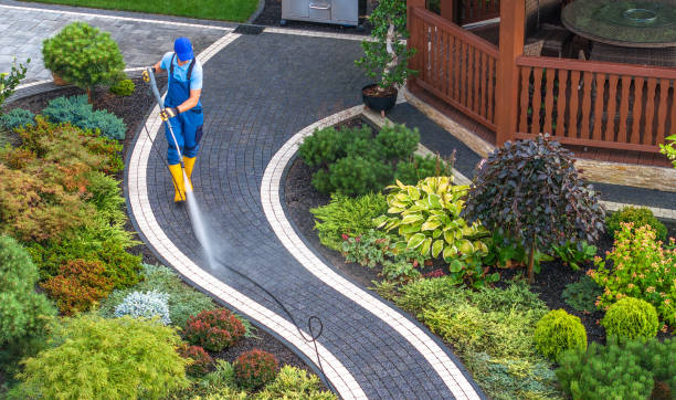 Best Commercial Building Pressure Washing  in Csar Chvez, TX